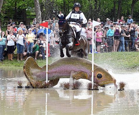 rolex cross country 2017|Postcard: 2017 Rolex Kentucky – Cross Country.